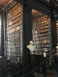 Bookshelves of the Library