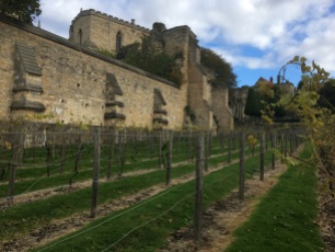 Looking up to the Palace from the other end of the vineyard
