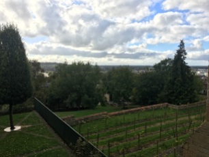 View over downhill Lincoln from the vineyard